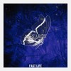 MONARCH - Fast Life