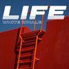 Life (Radio Edit) - White Whale