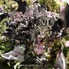 It's Just Business (Phasmid Remix) - Morelia&Tanner Munn&Phasmid