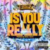 Is You Really (Explicit) - T-Rick