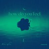 how do you feel (Speed down) - Nathan Walid&Soundsofthefvture