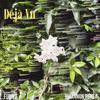 Deja Vu (feat. Rhiannon Renea) - Flowz Dilione&Rhiannon Renea