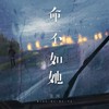 命不如她 (烟嗓男版) - 言川