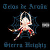 Telas de Araña (Explicit) - Sierra Heightz