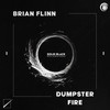 Dumpster Fire (Radio Edit) - Brian Flinn