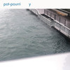 Y - Pot-Pourri