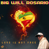 Love Is Not Free - Big Will Rosario