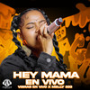 HEY MAMA (En Vivo) - Vibras En Vivo&Melly 333