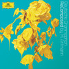 Adagio For Strings And Organ In G Minor - Wolfgang Meyer&Berliner Philharmoniker&Herbert von Karajan