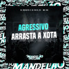 Agressivo Arrasta a Xota (Explicit) - Mc 99&DJ NOVATO&DJ REIS ZS