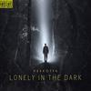 Lonely In The Dark (Explicit) - Psykotyk