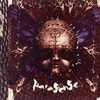 Big Rave with No Name - Parasense
