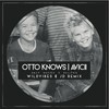 Back Where I Belong (WildVibes & JD Remix) - Avicii&JD&Otto Knows&WildVibes