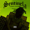 Sentinela (Explicit) - ALEZZY&Gtrem