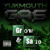 Stoner Chick (Explicit) - Yukmouth&Joe Blow&Lee Majors