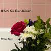 What's On Your Mind? (Explicit) - River Styx