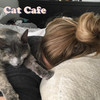 Cat Cafe - Shoffy&Alex Shofler