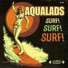 Surf! Surf! Surf! - Aqualads