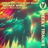 Broken Wings (Robert Curtis Radio Edit) - Jordan Wroth&Kenny Hayes&Robert Curtis