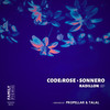 Brainwork (Propellar Short Edit) - code:rose&Propellar