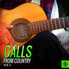 Out of a Honky Tonk - Bob Gallion