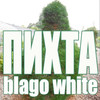 Пихта (Explicit) - Blago White