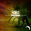 Field Sense (Radio Edit) - KaKi