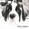 Hot Dog - Adam Beyer
