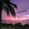 天那边是海 (DJ版伴奏) - Djah
