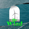 Blowin' in the wind - Senn