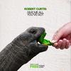 Give Me All You've Got (Radio Edit) - Robert Curtis