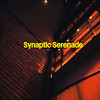 Synaptic Serenade - Clark Stewart