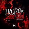 Tropa do Lobo Mal (Explicit) - DJ JR Oficial&MC Morena&Mc Fabinho da Osk&Mc Cyclope&Mc Toy&Dj Luiz Silva