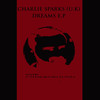 Faster (Original Mix) - Charlie Sparks (UK)