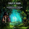 Signs & Wonders (Original Mix) - Adrenalin Drum&California Sunshine