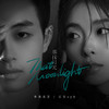 那抹月光 - 李美灵芝&江生syh