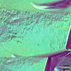 Apocalypse (Explicit) - Boeyylee&Mayvision