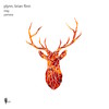 Yamasa (Radio Mix) - PLYNN&Brian Flinn