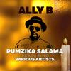 Pumzika Salama - Ally B