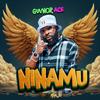 Ninamu - Guvnor Ace