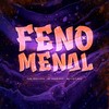 Fenomenal - Mc Magrinho&DJ Cleitinho&Yuri Redicopa