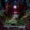 Alien Trip (Original Mix) - California Sunshine&Har-El