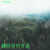 静待岁月开花 (伴奏) - 丰雪菲真瘦