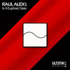 In A Euphoric State (Radio Edit) - Raul Alex I.