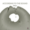 Shoreland Pebbles - According to the Sound&Patrick Case&Adam Parry-Davies&James Morton&Alex Hutchings