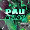 Pau Nelas (Explicit) - Surfista&Mc Zika Dre.&Mc Zk&DJ PAMPINHO