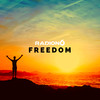 Freedom (Original) - Radion6