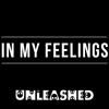 IN MY FEELINS - Unleashed