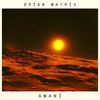 AMANI - Brian Matrix