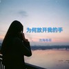 为何放开我的手 - 沧海哥哥